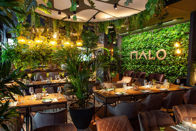 MALO Stuttgart – Stilvolles Restaurant mit Rivièra Maison Möbeln