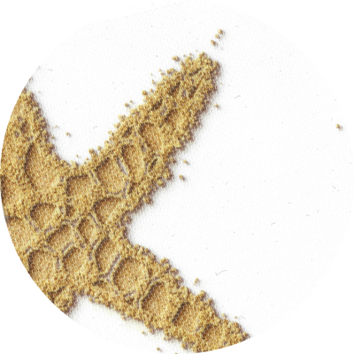 MXHOME Schwimmende Sonnenliege 'Bast-Effekt' - Seesternmuster-www.Stil-Ambiente.de-VILEBREQUIN Bain de soleil beige raphia motif étoile VB-XL-L