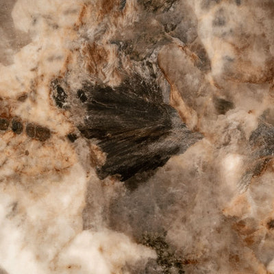 Richmond Interiors – Esstisch Langford brown 230-8721009423325-www.Stil-Ambiente.de-8793