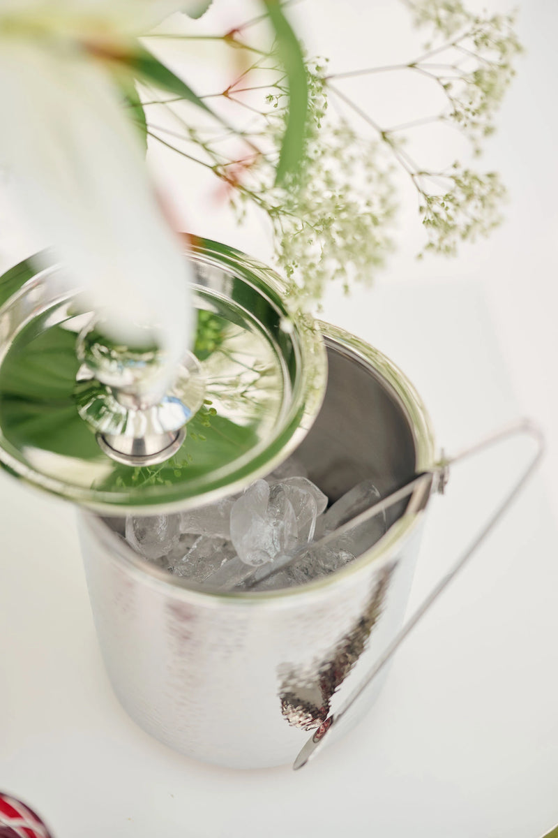 Edzard Rico ice bucket (height 21 cm), including lid and ice tongs, patterned, stainless steel, highly polished