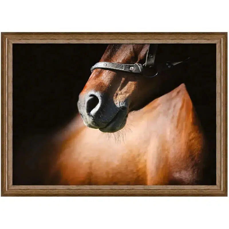 Equestrian Collection Hazenkamp Horse Picture Bild Brown Horse 80x60x3cm-Stil-Ambiente-P0086S