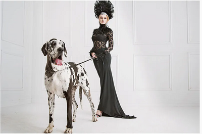 Hazenkamp Bild Fashion Young Woman & Big Dog 180x120x2cm-Stil-Ambiente-109017