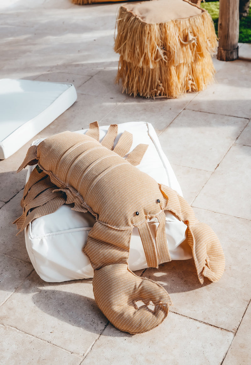 MXHOME Hummerkissen „Bast-Effekt oder Orange - Outdoor-www.Stil-Ambiente.de-Coussin homard Raphia RS1