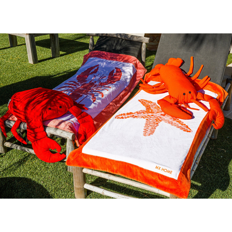 MXHOME Hummerkissen „Bast-Effekt oder Orange - Outdoor-www.Stil-Ambiente.de-Coussin homard Raphia RS1
