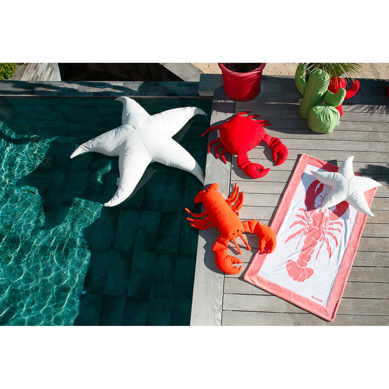 MXHOME Hummerkissen „Bast-Effekt oder Orange - Outdoor-www.Stil-Ambiente.de-Coussin homard Raphia RS1