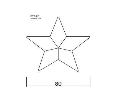 MXHOME Sternkissen mit Bast-Effekt oder Weiß- Outdoor-www.Stil-Ambiente.de-Coussin étoile de mer Raphia RS2