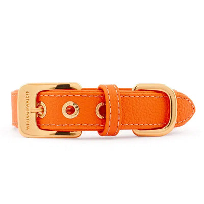 William Walker Hundehalsband Collar Lederhalsband Orange Halsband Dogwear Dog Collection-William Walker-110224-Stil-Ambiente