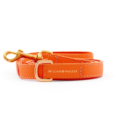 William Walker Hundeleine Orange-William Walker-Stil-Ambiente
